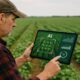 AI automation company - ai automation services - ai automation solutions - GMarket 360