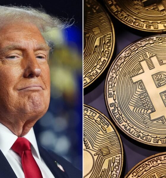 how to buy trump coin, trump coin price prediction, donald trump coin price prediction, official trump coin price prediction - Gmarket360